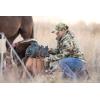 imageSteiner Optics HX Series Binoculars  Versatile Optics Shockproof and Waterproof Binoculars for Precision in Hunting10x42