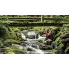 imageSteiner Safari UltraSharp Binoculars Compact Lightweight Performance Outdoor Optics 10x4210x42